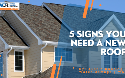 5 Signs You Need A New Roof