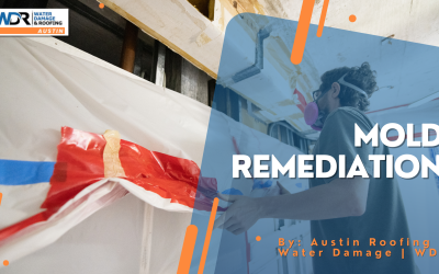 Mold Remediation