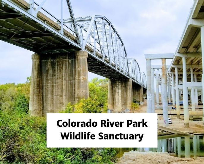 Colorado River Park Wildlife Sanctuary