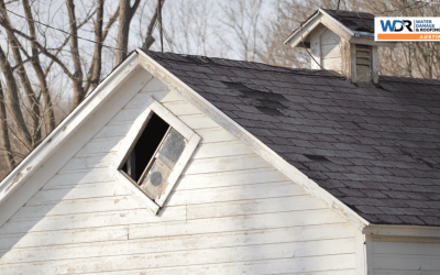 Attic Ventilation and Your Austin Roof: Why It Matters More Than You Think
