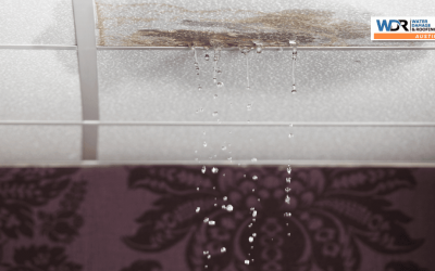 How Roof Leaks Lead to Water Damage: What Austin Homeowners Need to Know