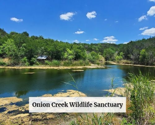Onion Creek Wildlife Sanctuary