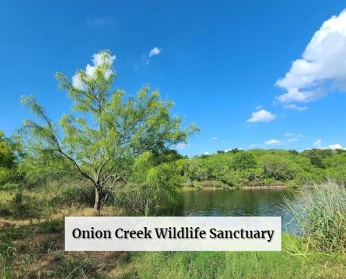Onion Creek Wildlife Sanctuary